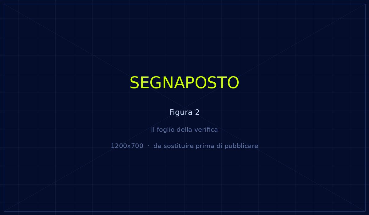 Il foglio di calcolo della verifica: una riga per ogni domanda, una colonna per ogni modello, e per ogni risposta chi viene nominato, con quale descrizione e quale fonte citata